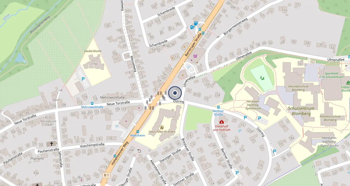 Kartenausschnitt Blomberg: Die Kanzlei liegt am Ostring 2, Ecke Ulmenallee, nahe der Barntruper Straße.